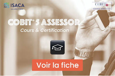 Formation COBIT 5 Assessor (2 jours)