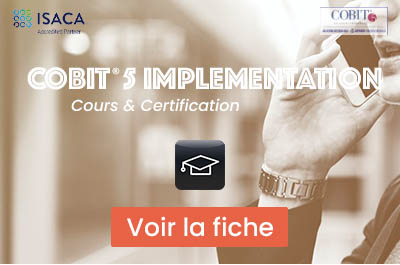 COBIT 5 Implementation