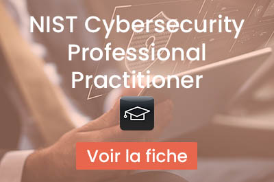 Cours et Certification NCSP Practitioner